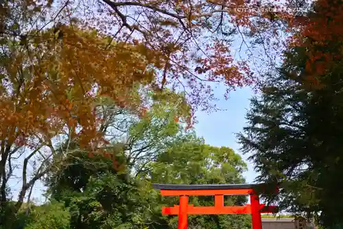 賀茂御祖神社（下鴨神社）(京都府)