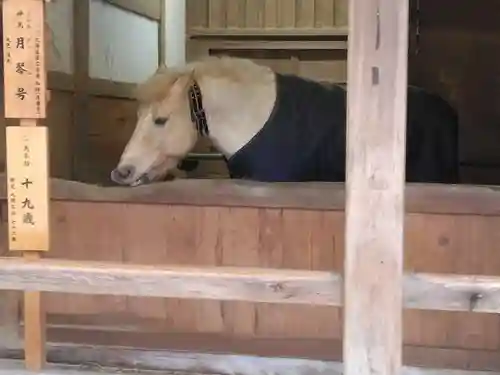 金刀比羅宮(香川県)