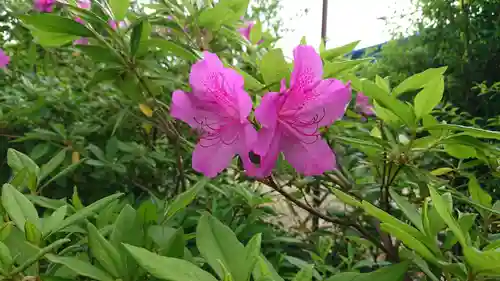豆塚神社の自然
