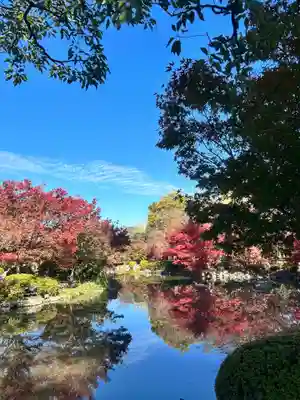 東寺（教王護国寺）(京都府)