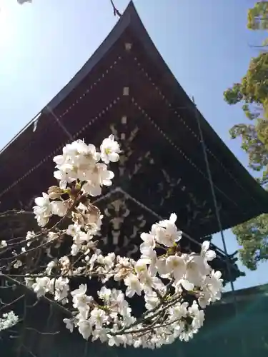 御霊神社（上御霊神社）(京都府)