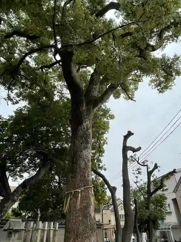 穴太神社の自然