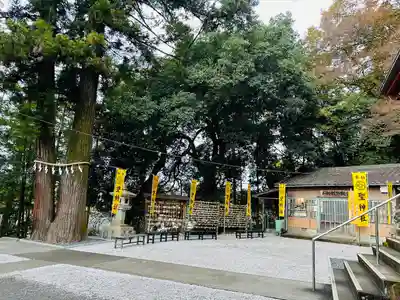 聖神社(埼玉県)