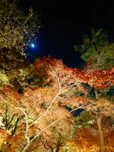 東福禅寺（東福寺）(京都府)