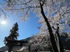 山家神社の自然