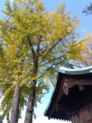 杉杜白髭神社(福井県)