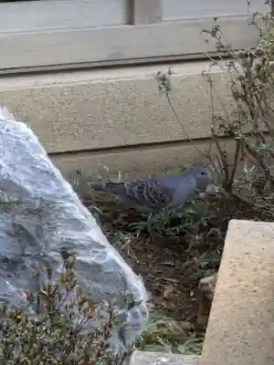 源長寺(東京都)