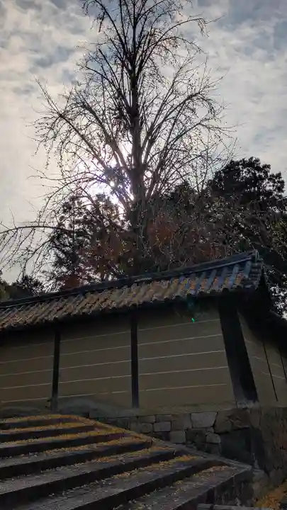 隨心院(随心院)(京都府)