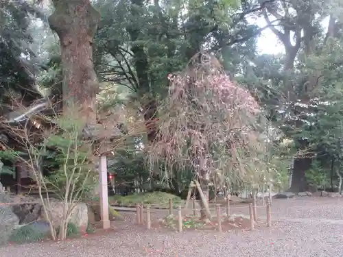 武蔵一宮氷川神社(埼玉県)