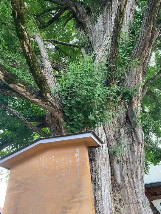 飛騨国分寺(岐阜県)