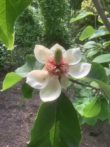 林昌院の庭園