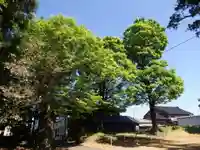 味知郷神社の自然