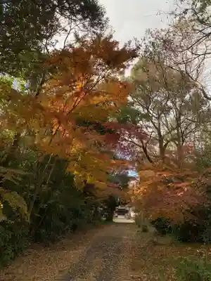 妙経寺(千葉県)