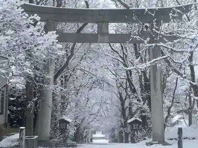 釧路一之宮 厳島神社の鳥居
