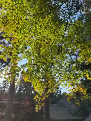 日吉大社(滋賀県)