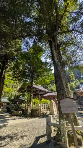 愛宕神社（阿多古神社）(京都府)