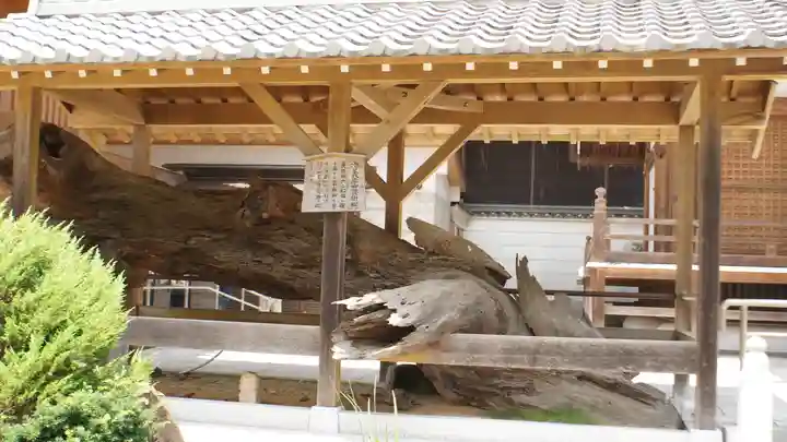 福祥寺(須磨寺)の歴史