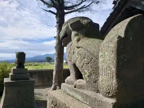 藤巻神社の狛犬