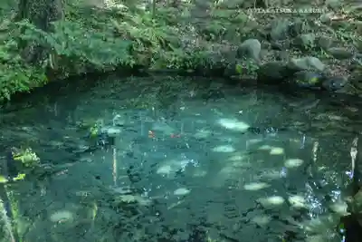 泉神社(茨城県)