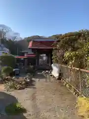 楊谷寺(神奈川県)