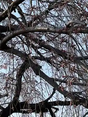 正眼寺(愛知県)