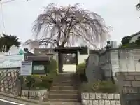 青蓮寺の山門・神門