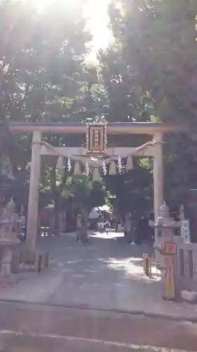 蛇窪神社の鳥居