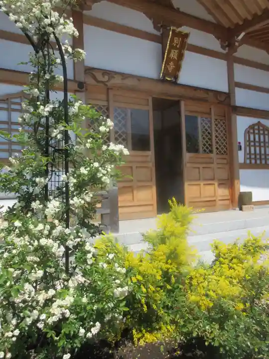 別願寺の本殿・本堂