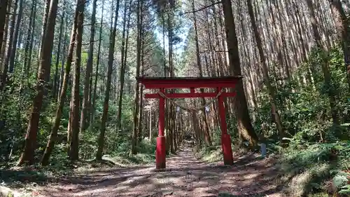 羽黒山神社の鳥居