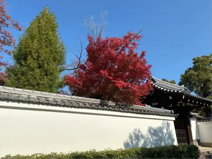 大心院(京都府)