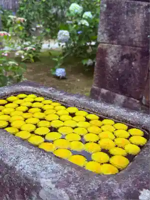 本光寺の手水舎