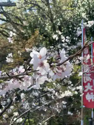 岐阜稲荷山本社の{uncategorized: "未分類", other: "その他", undefined: "問題あり", building: "その他建物", grave: "お墓", sacred_gate: "鳥居", guardian: "狛犬", statue: "像", buddha: "仏像", history: "歴史", nature: "自然", garden: "庭園", animal: "動物", pagoda: "塔", temizu: "手水舎", mountain_gate: "山門・神門", sanctuary: "本殿・本堂", subordinate: "末社・摂社", art: "芸術", scenery: "景色", jizo: "地蔵", ema: "絵馬", goshuin: "御朱印", omikuji: "おみくじ", items: "授与品その他", amulet: "お守り", goshuincho: "御朱印帳", eats: "食事", festival: "お祭り", votive_dance: "神楽", shichigosan: "七五三参", wedding: "結婚式", experience: "体験その他", initially: "初詣", around: "周辺", anti_infection: "感染症対策"}