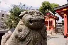 神津神社の狛犬