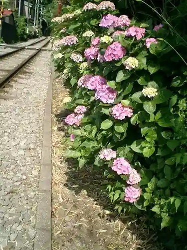 御霊神社の自然