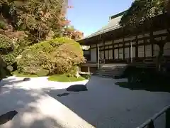 報国寺の庭園