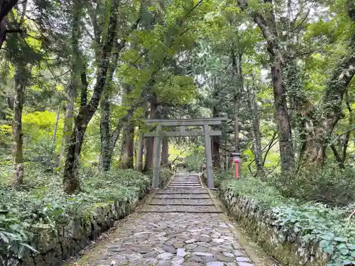 大神山神社奥宮の鳥居
