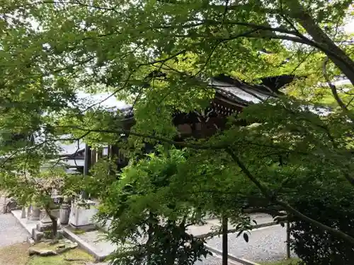 今熊野観音寺のその他建物