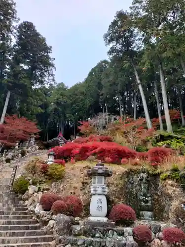 華厳寺の景色