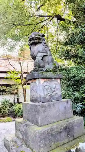 阿佐ヶ谷神明宮の狛犬