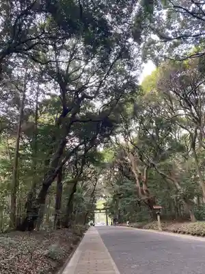 明治神宮(東京都)