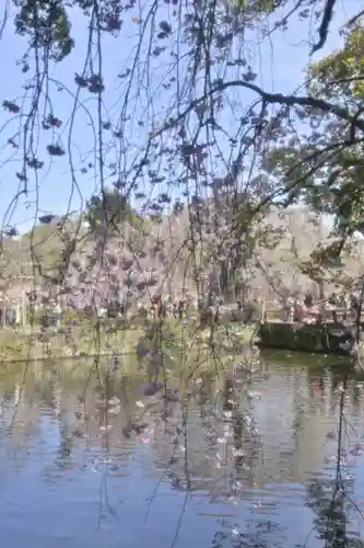 三嶋大社(静岡県)