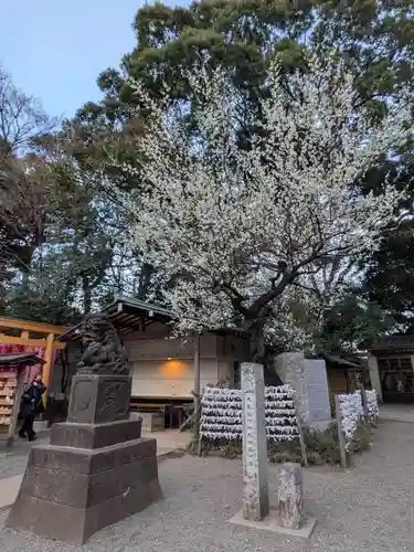 代々木八幡宮(東京都)