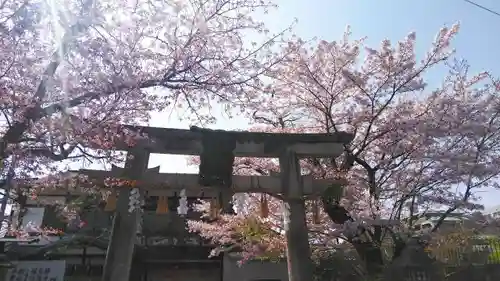 須賀神社の鳥居