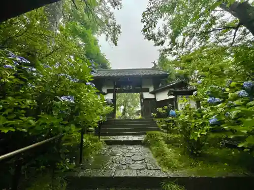 資福寺の{uncategorized: "未分類", other: "その他", undefined: "問題あり", building: "その他建物", grave: "お墓", sacred_gate: "鳥居", guardian: "狛犬", statue: "像", buddha: "仏像", history: "歴史", nature: "自然", garden: "庭園", animal: "動物", pagoda: "塔", temizu: "手水舎", mountain_gate: "山門・神門", sanctuary: "本殿・本堂", subordinate: "末社・摂社", art: "芸術", scenery: "景色", jizo: "地蔵", ema: "絵馬", goshuin: "御朱印", omikuji: "おみくじ", items: "授与品その他", amulet: "お守り", goshuincho: "御朱印帳", eats: "食事", festival: "お祭り", votive_dance: "神楽", shichigosan: "七五三参", wedding: "結婚式", experience: "体験その他", initially: "初詣", around: "周辺", anti_infection: "感染症対策"}