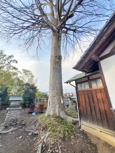 天津戸隠神社(栃木県)
