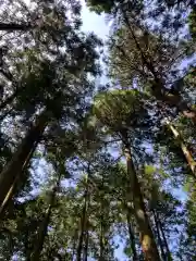 山宮浅間神社(静岡県)