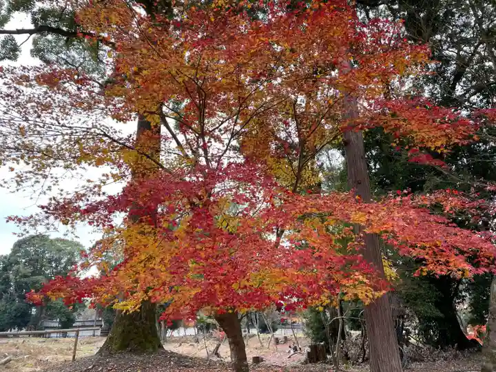 醍醐寺(京都府)