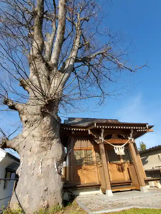 二階堂神社の本殿・本堂