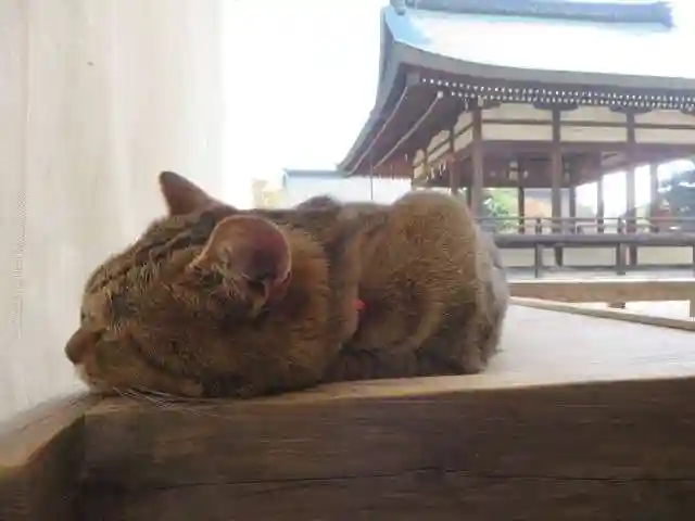 梅宮大社(京都府)