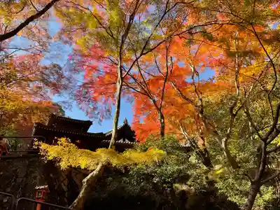 愛宕念仏寺(京都府)